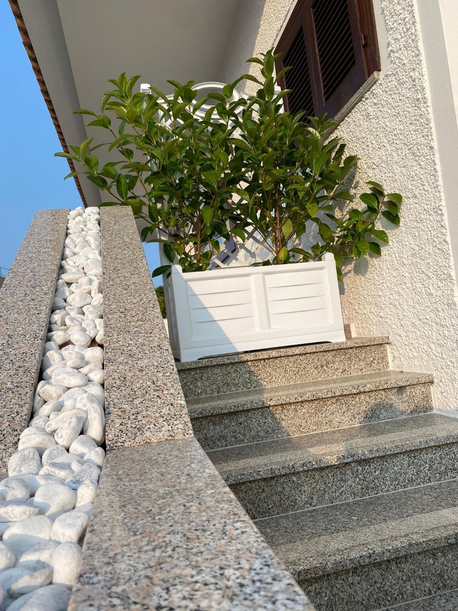 Villa Da Rosa Olbia Eksteriør bilde